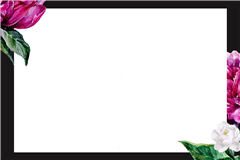 Fotobox-Druckvorlage fuchsia – Kategorie Sonstiges
